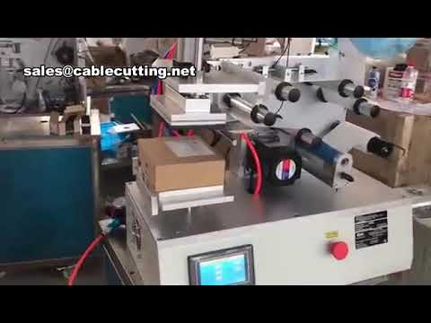 Single-Side Square Bottle Flat Surface Labeling Machine for Automated Packaging